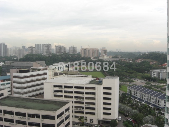 Tresalveo (D20), Condominium #6522
